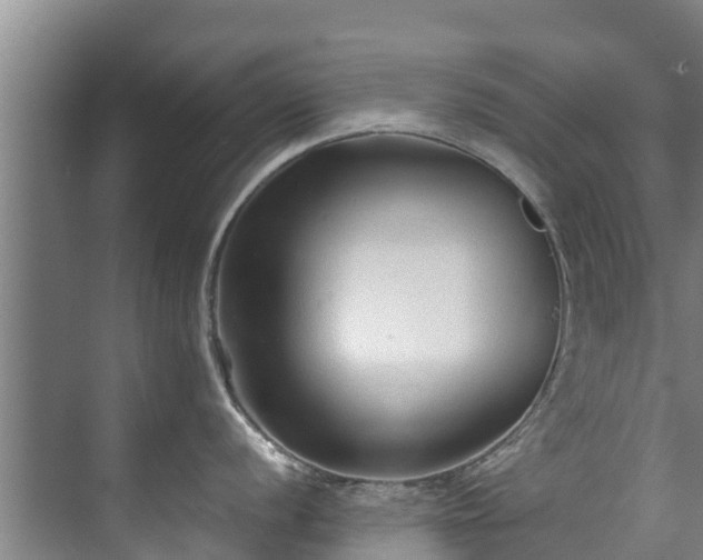 X0000071951056200607141454