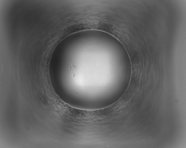 X0000071951057200607141453