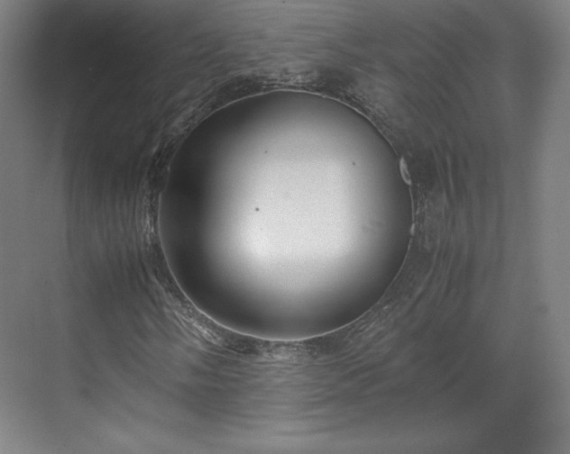 X0000071951058200607141453