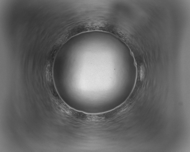 X0000071951059200607141453