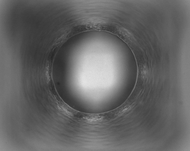 X0000071951060200607141453