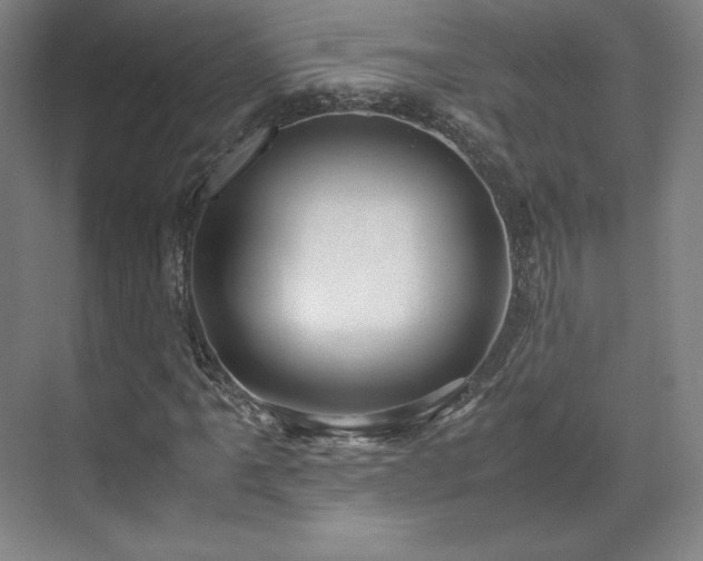 X0000071951061200607141453