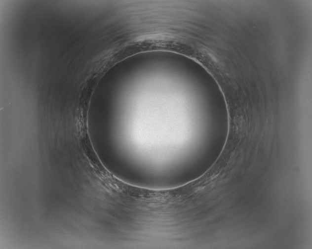 X0000071951062200607141453