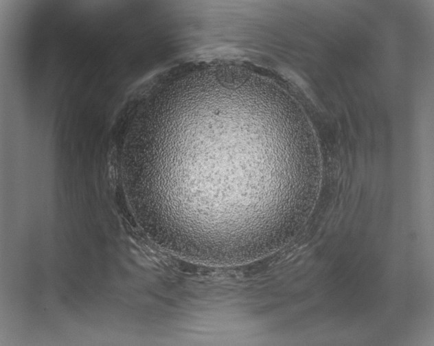 X0000071951063200607141453