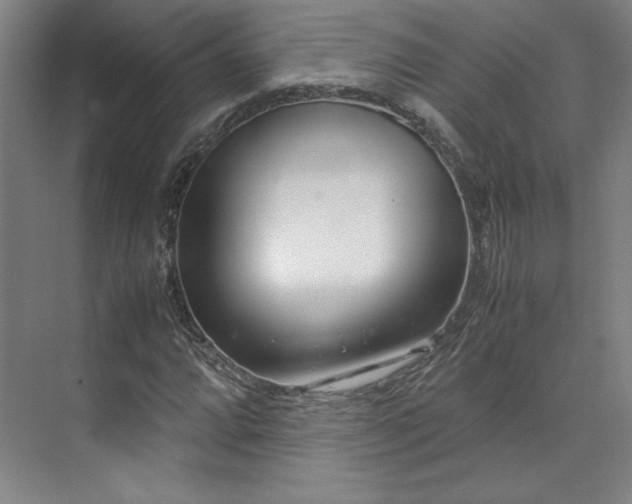 X0000071951064200607141453