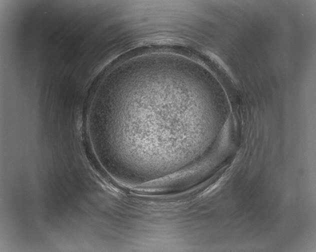 X0000071951065200607141453