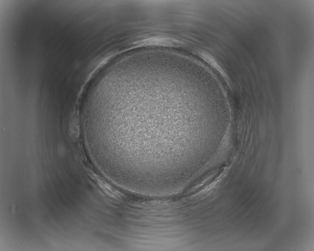 X0000071951067200607141453