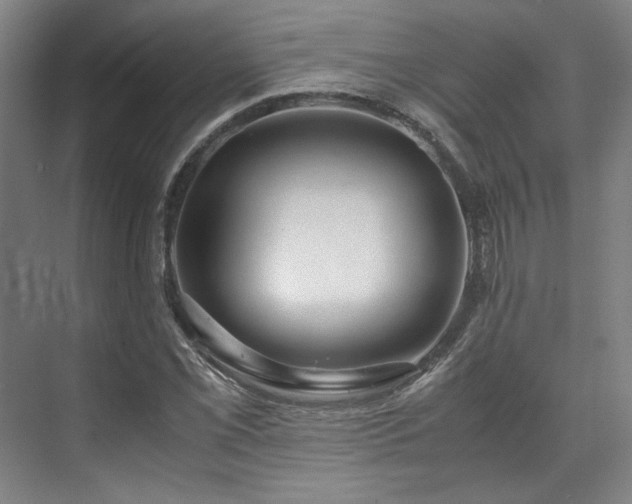 X0000071951069200607141453