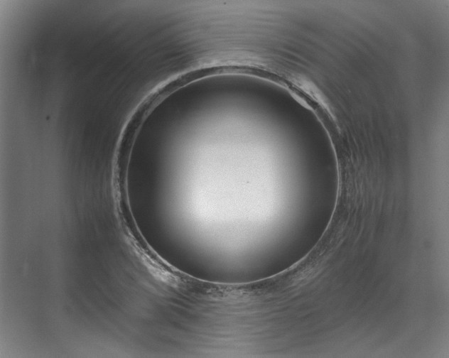 X0000071951072200607141453