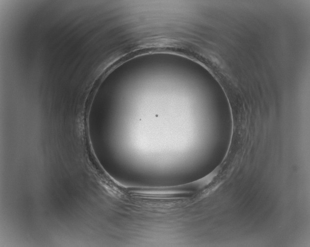 X0000071951073200607141453