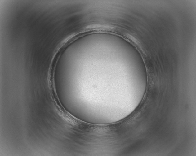 X0000071951074200607141453