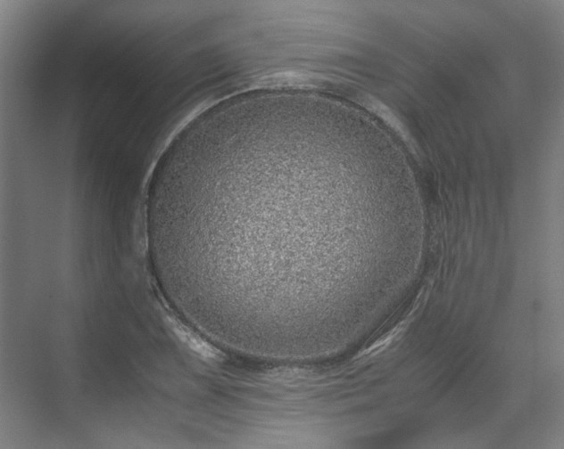 X0000071951075200607141453