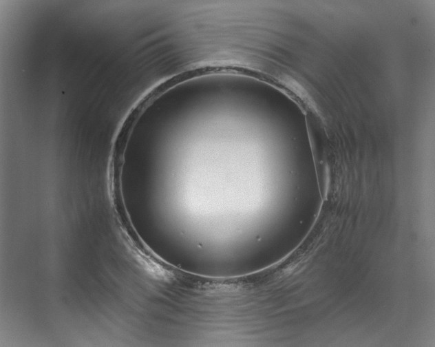 X0000071951076200607141453