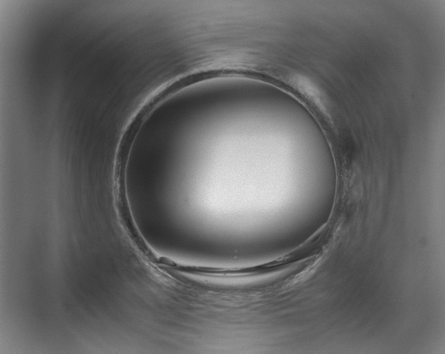 X0000071951077200607141453