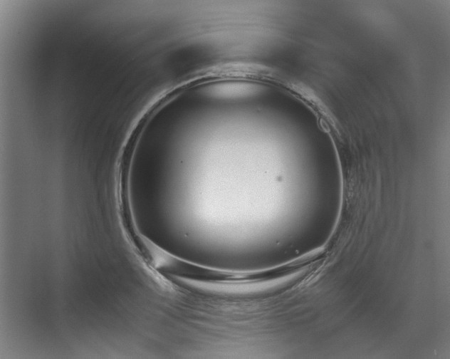 X0000071951083200607141453