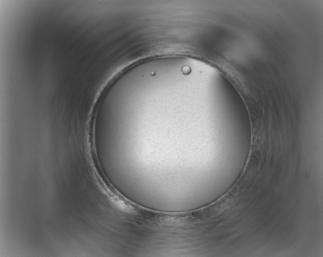 X0000071951086200607141453