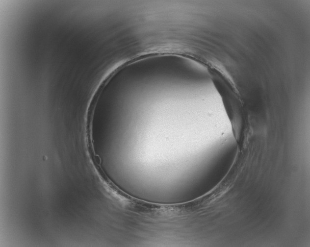 X0000071951087200607141453