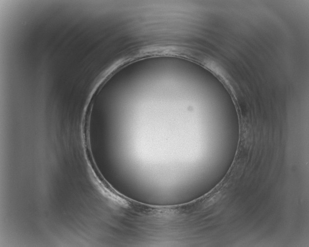 X0000071951090200607141453