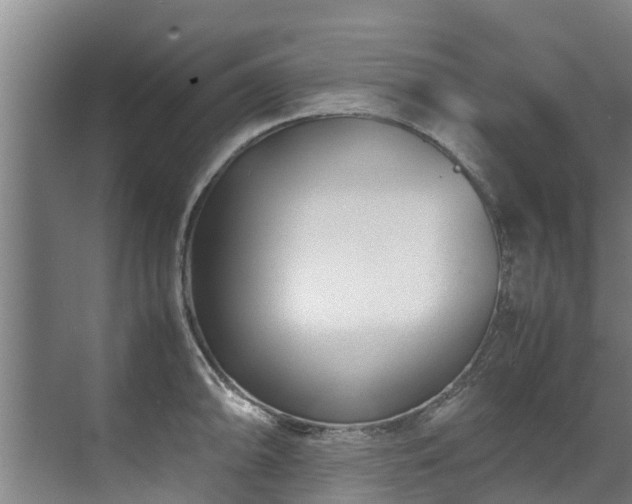 X0000071951094200607141452