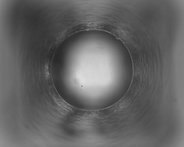 X0000071951106200607141451