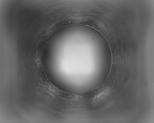 X0000071951109200607141452