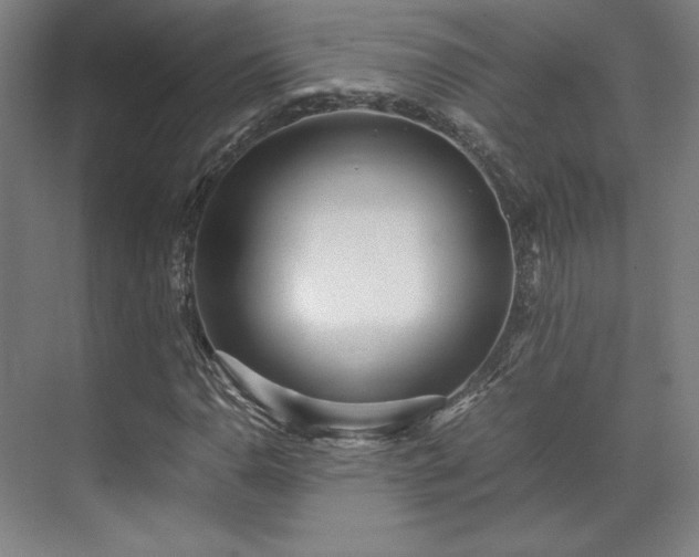 X0000071951110200607141452