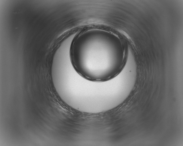 X0000071951112200607141452