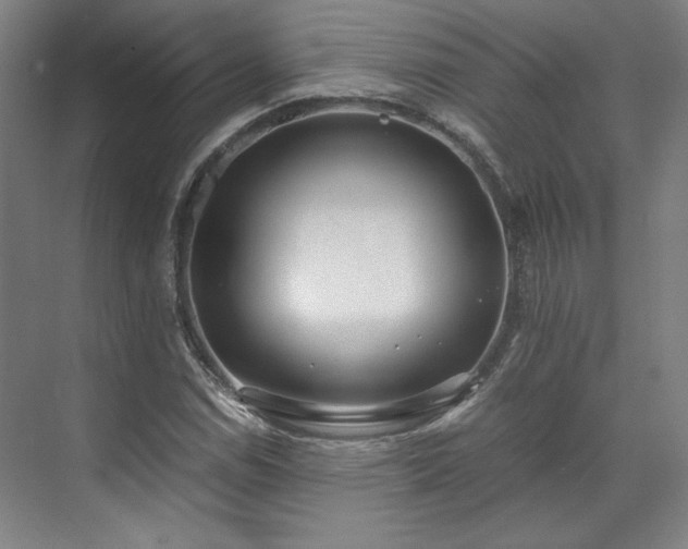 X0000071951114200607141452