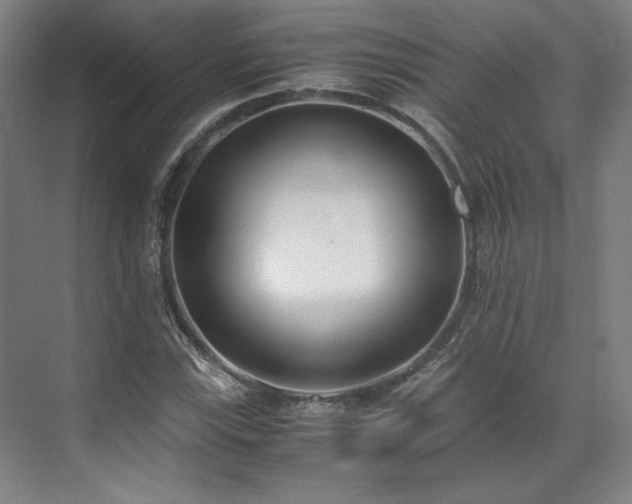 X0000071951115200607141452