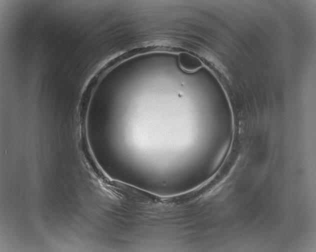 X0000071951117200607141452