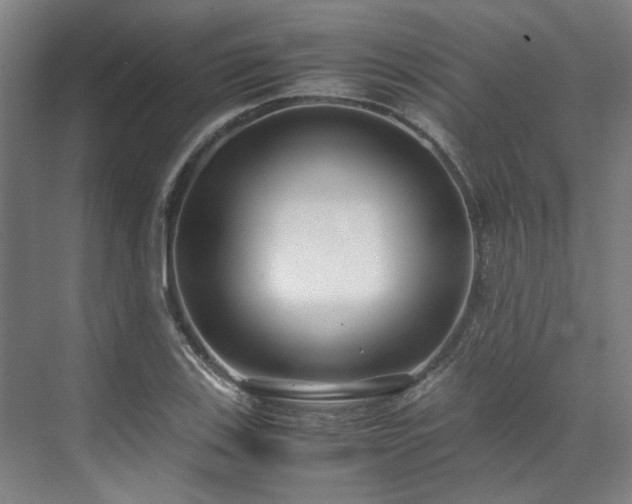 X0000071951123200607141452