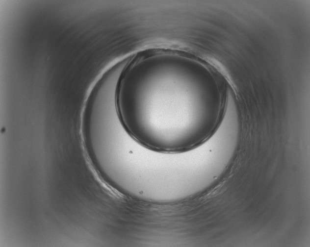 X0000071951128200607141452