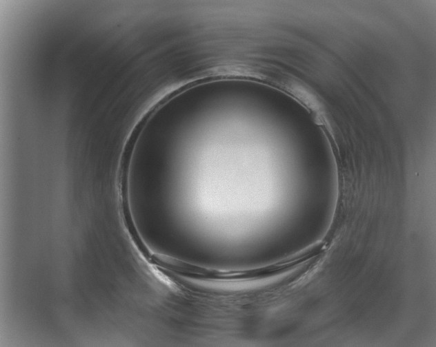 X0000071951141200607141452