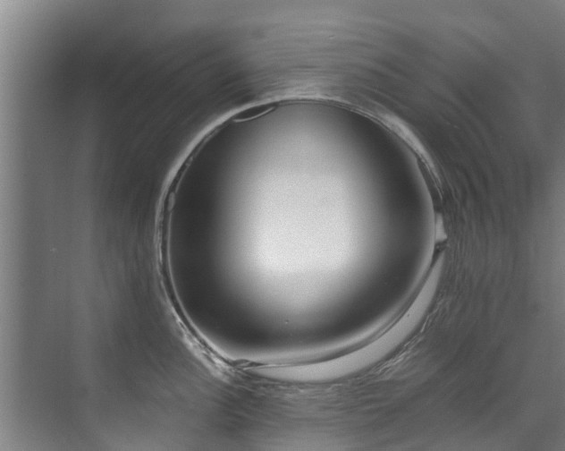 X0000071951148200607141452