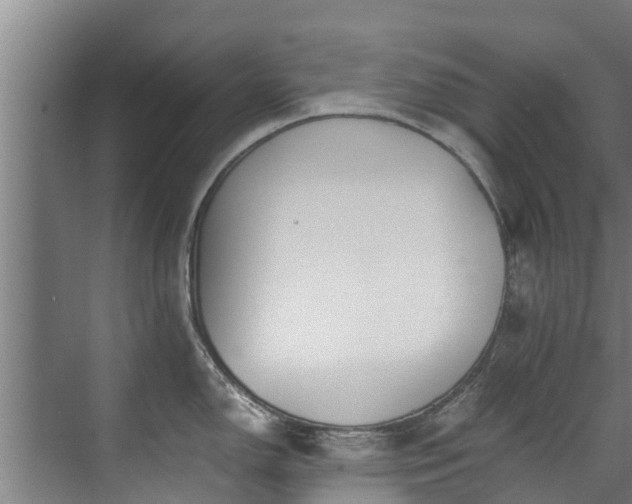 X0000071951150200607141452