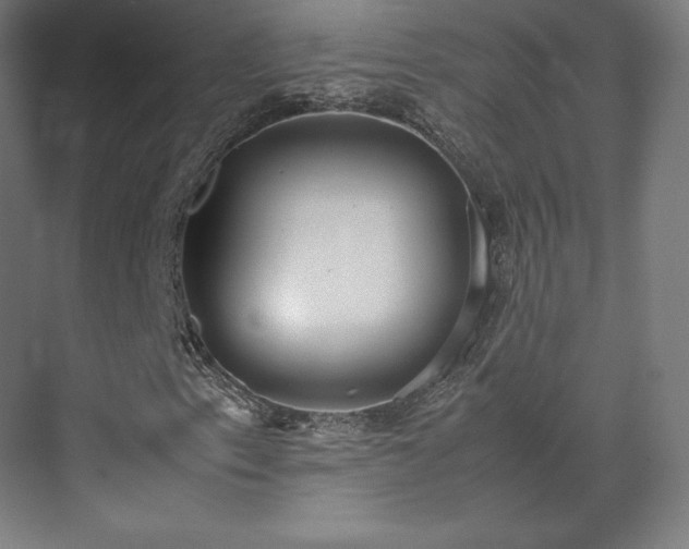 X0000071951153200607141451