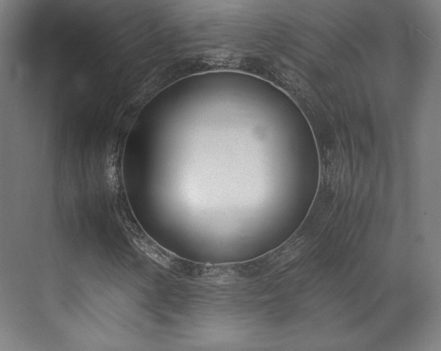 X0000071951154200607141451