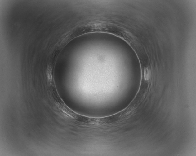 X0000071951155200607141451