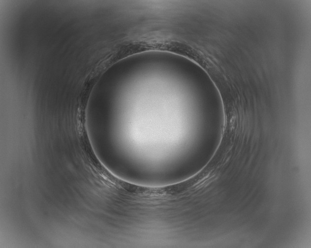 X0000071951156200607141451