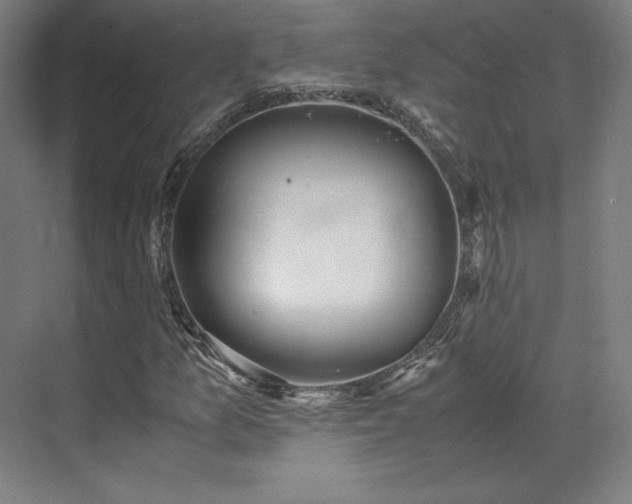 X0000071951157200607141451