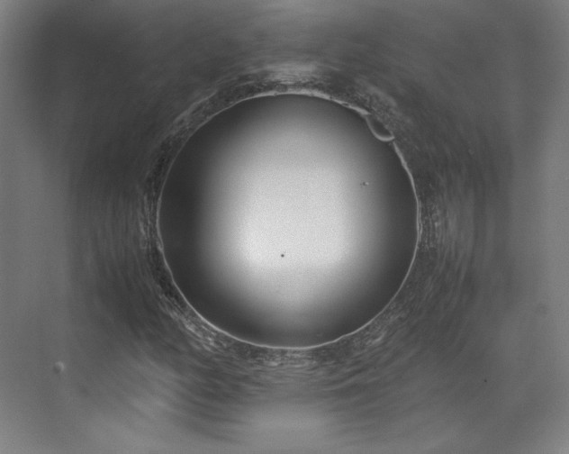 X0000071951158200607141451