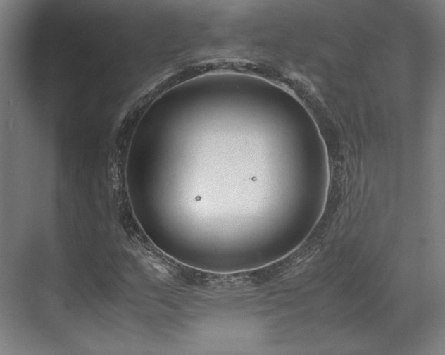 X0000071951159200607141451