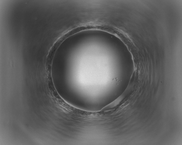 X0000071951160200607141451