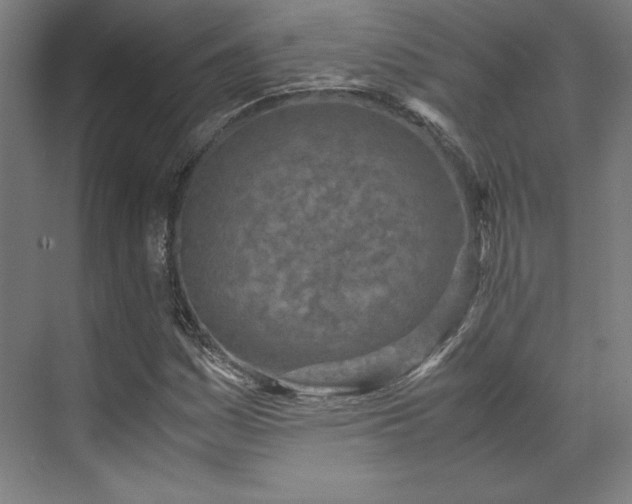 X0000071951161200607141451