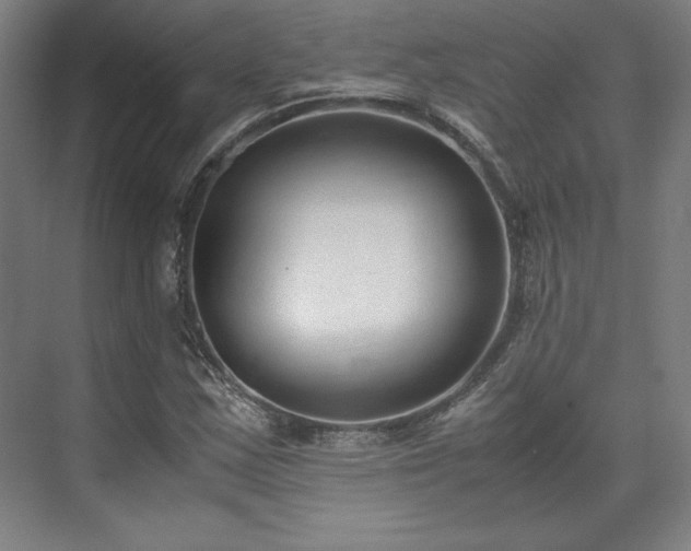 X0000071951163200607141451