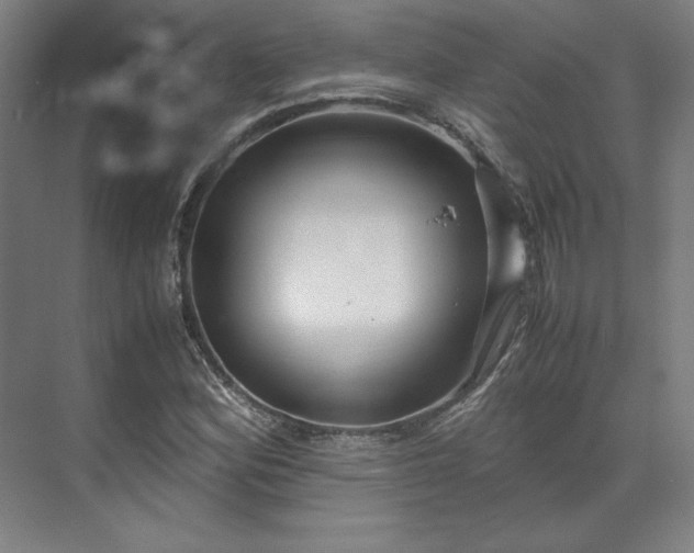 X0000071951164200607141451