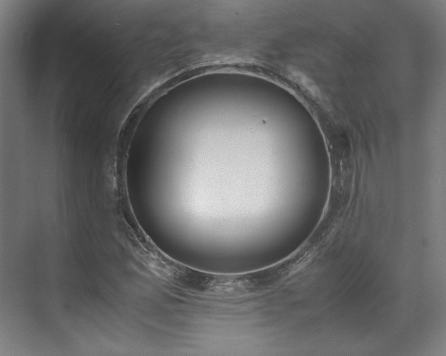 X0000071951165200607141451