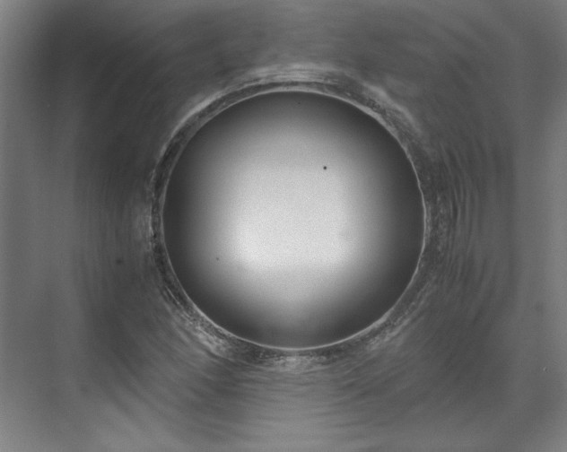 X0000071951166200607141451