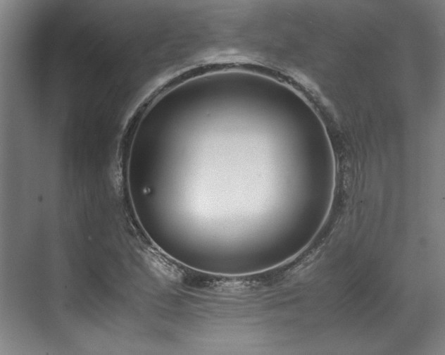 X0000071951167200607141451