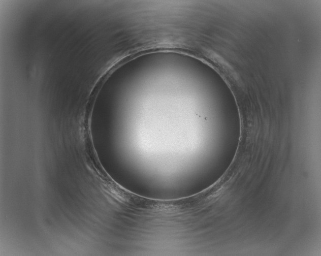 X0000071951170200607141451